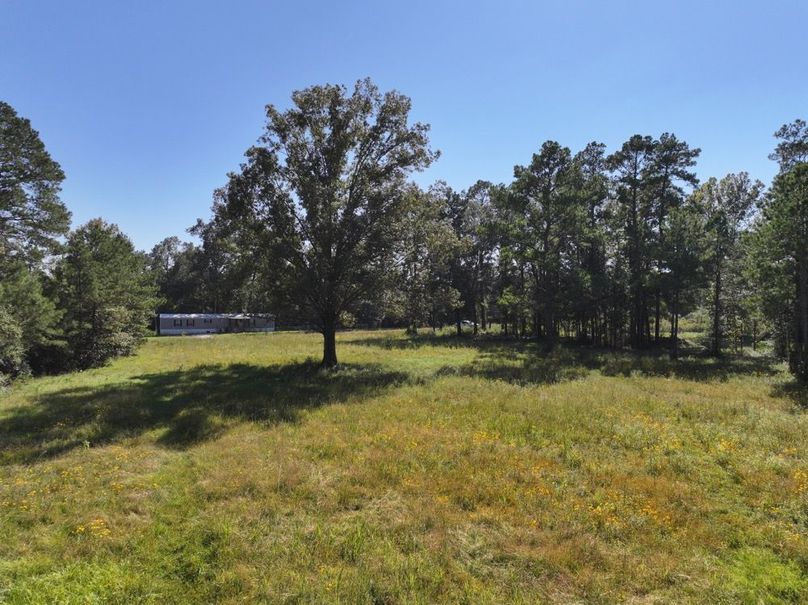 dji_fly_20251014_150634_0677_1760473190502_photo