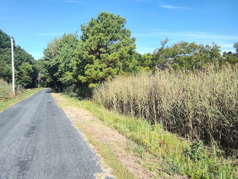 IMG_20250830_095011638