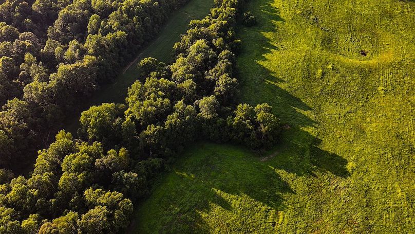 dji_fly_20250705_194404_0398_1751759939175_photo