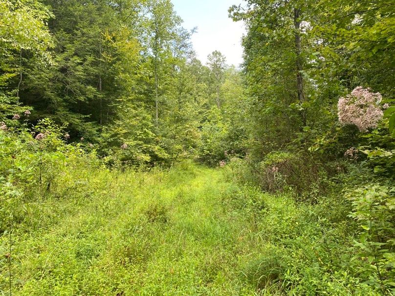 014 one of the small openings in the west valley