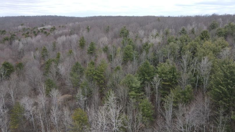 19 dji_fly_20250325_112814_944_1742916506102_photo