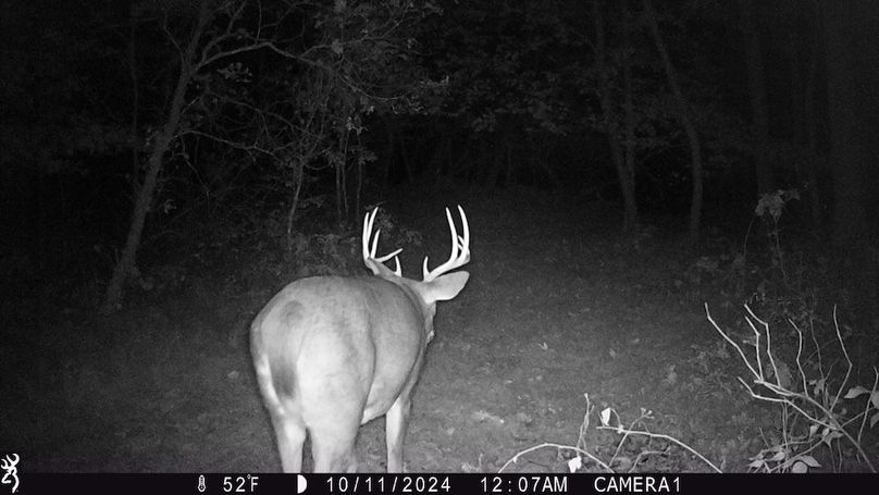 Sauk 174 Trailcam - 22