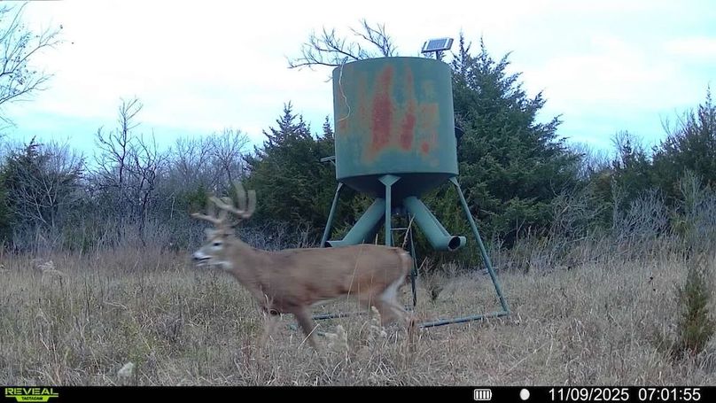 016578004503154-100-2-11092025070155-SYFW18638