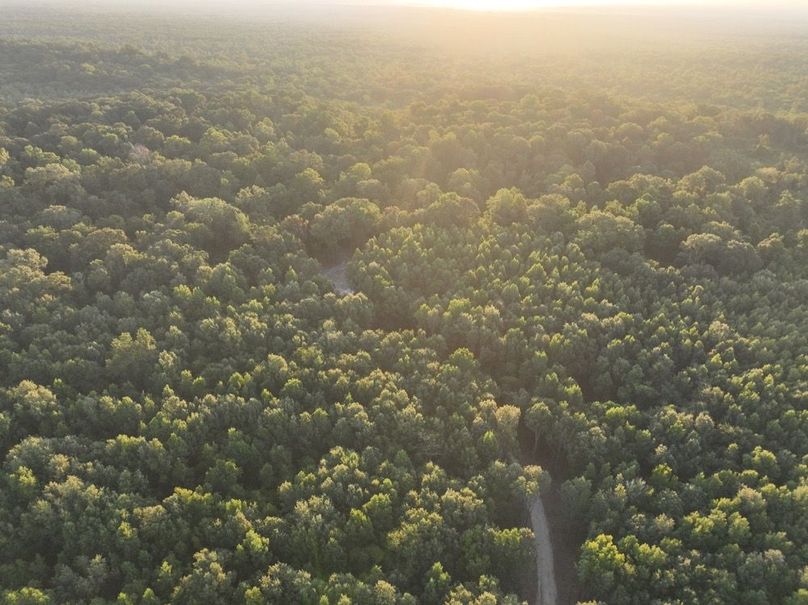 dji_fly_20250909_072400_180_1757426947849_photo