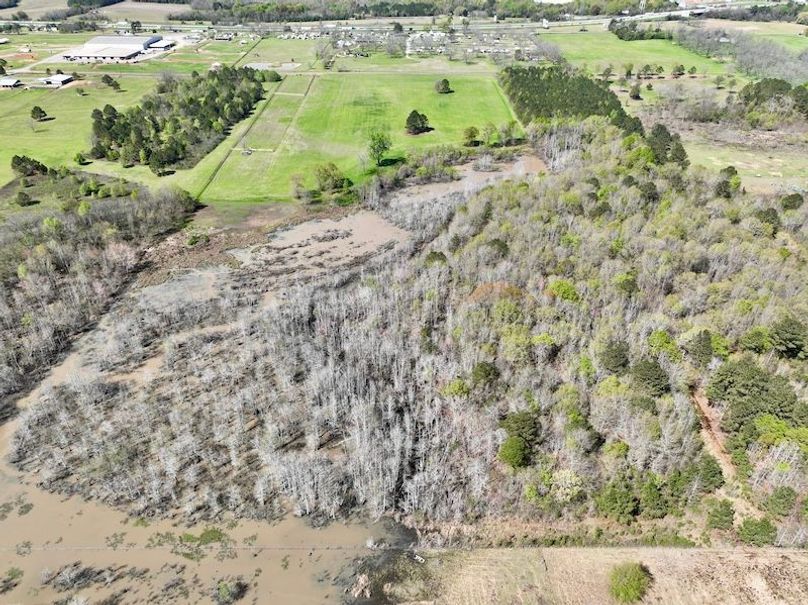 dji_fly_20260317_120034_429_1773763409467_photo