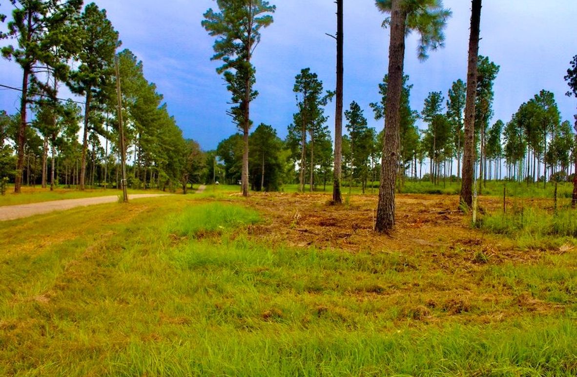 8C51A0B4-538E-41BB-989E-269095E8E133_1_105_c