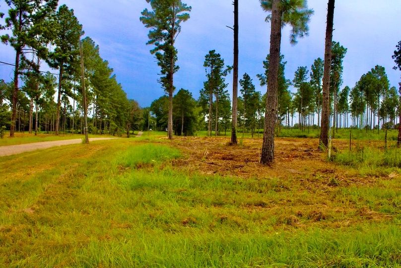 8C51A0B4-538E-41BB-989E-269095E8E133_1_105_c