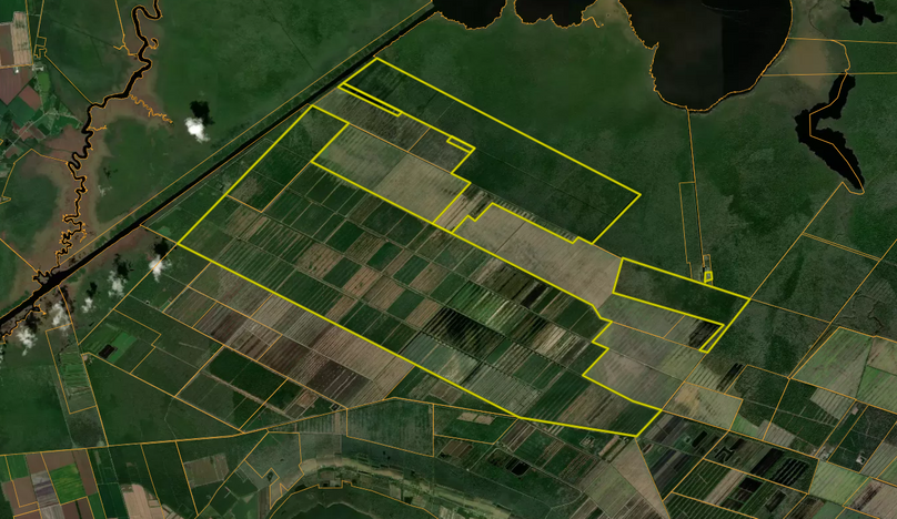 Screenshot 2024-03-11 at 1.13.50 PM