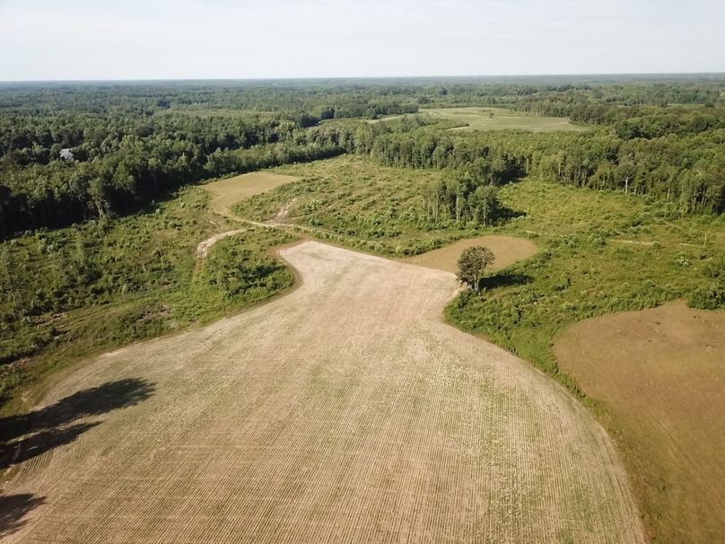 DJI_0069
