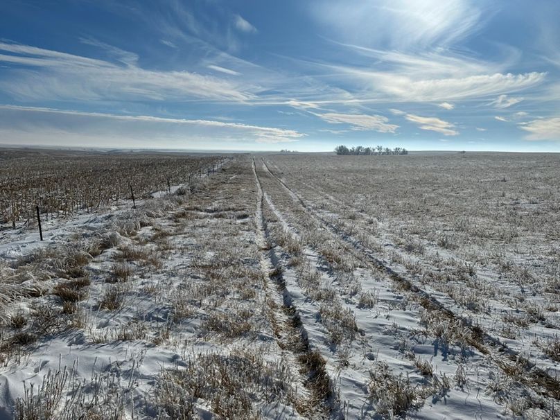 FEE42298-9293-4FCD-A2FB-C4C17640FA47_1_105_c