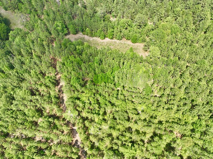 dji_fly_20230426_150838_323_1682536331324_photo
