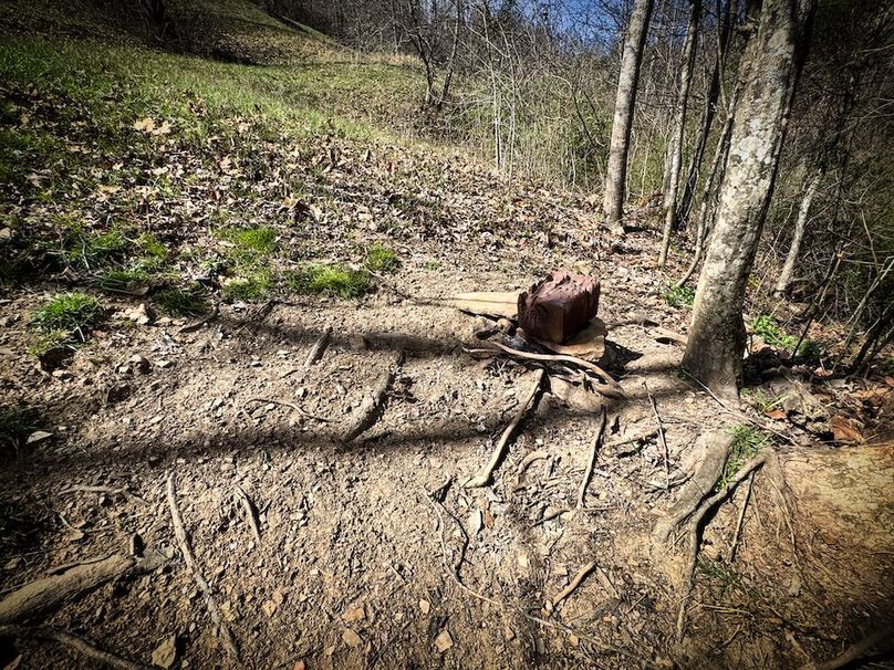 026 mineral lick has been getting hit hard!