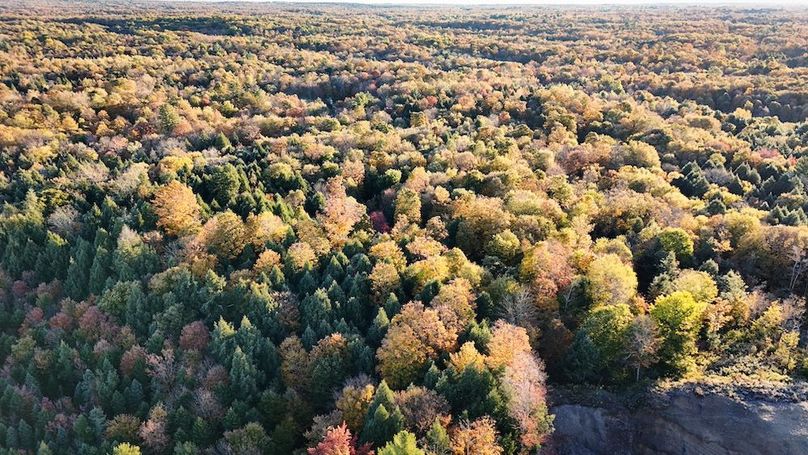 Oswego_47.53_Jarvis_Photos_42