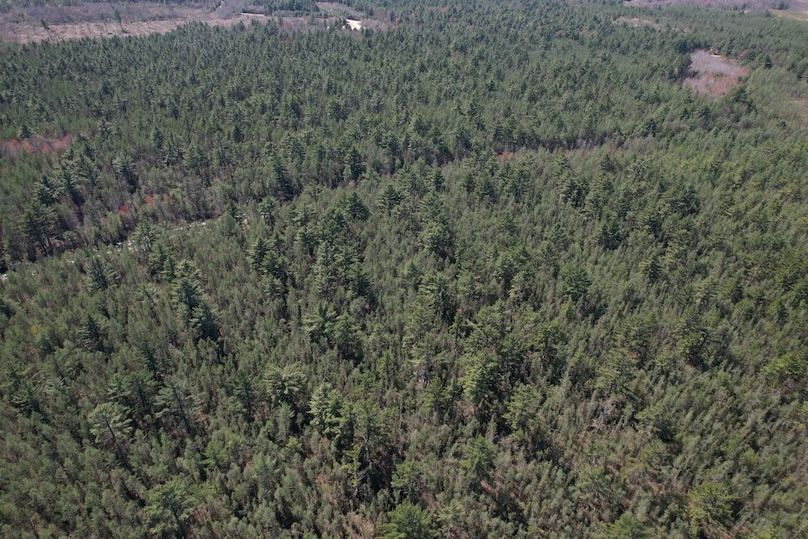 DJI_0073