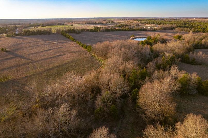 Lamar County 76.5 acres (13 of 23)