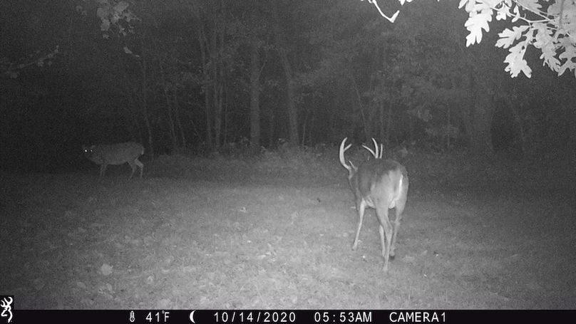 Sauk 174 Trailcam - 61