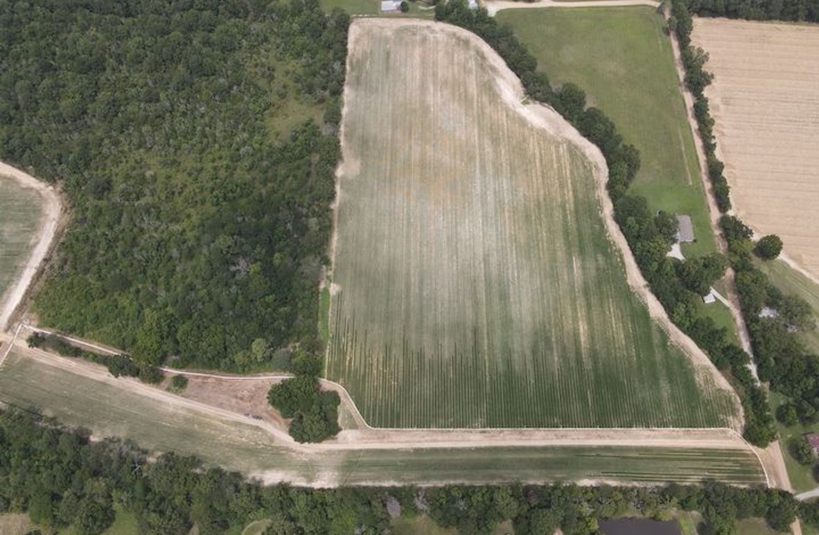 dji_fly_20240802_131616_233_1722622587668_photo