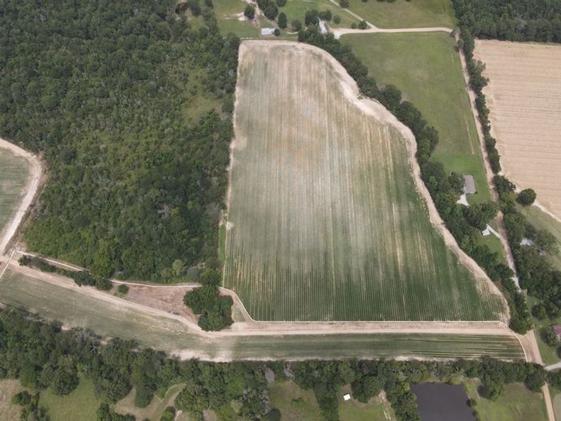 dji_fly_20240802_131616_233_1722622587668_photo