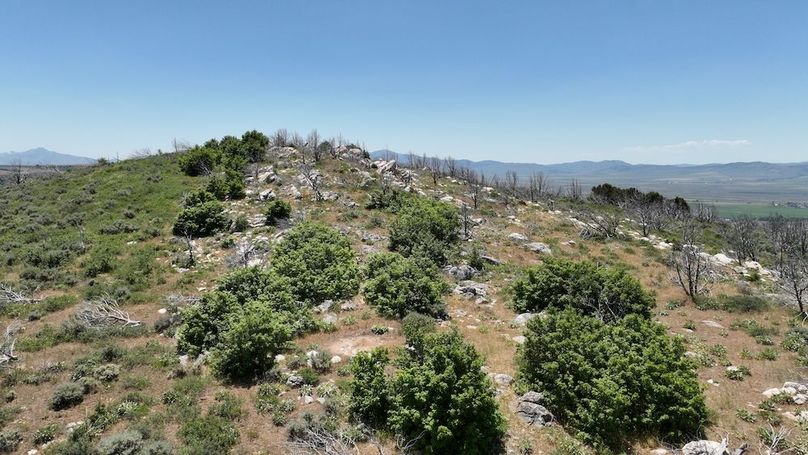 DJI_0434