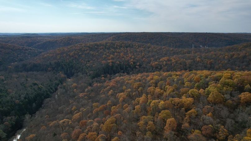 dji_fly_20251105_123524_919_1762380900858_photo