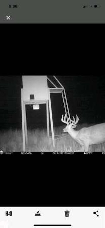 pulse-image-1658112832367