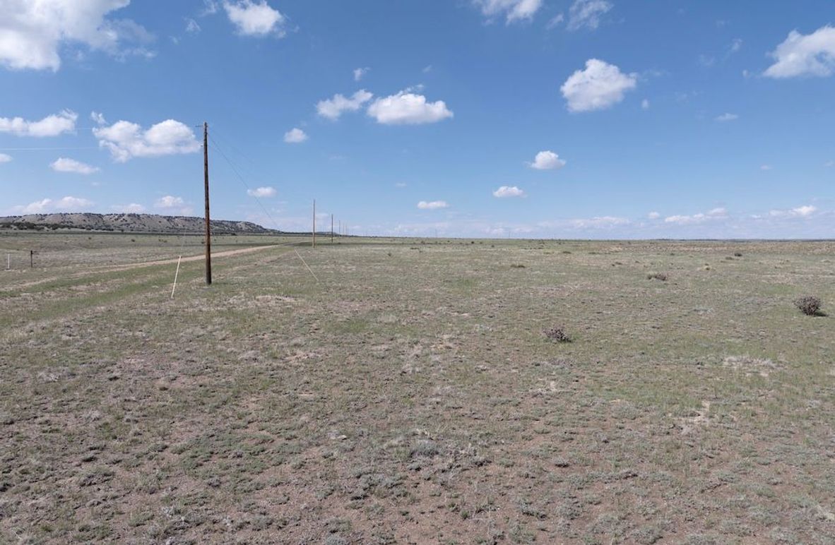 3DJI_20250508153534_0020_D