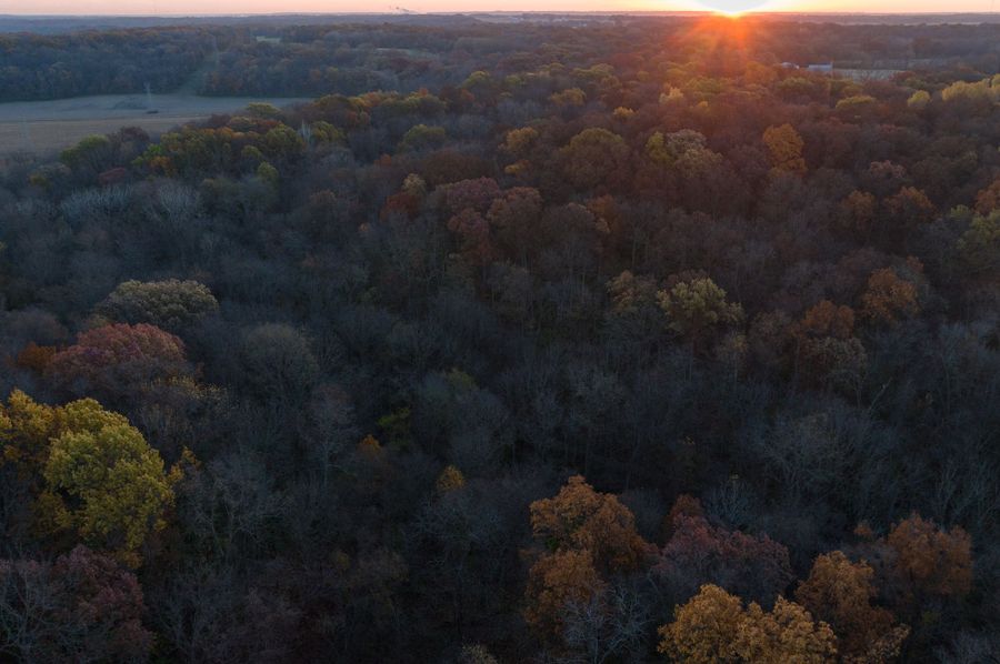 Copy of DJI_0402