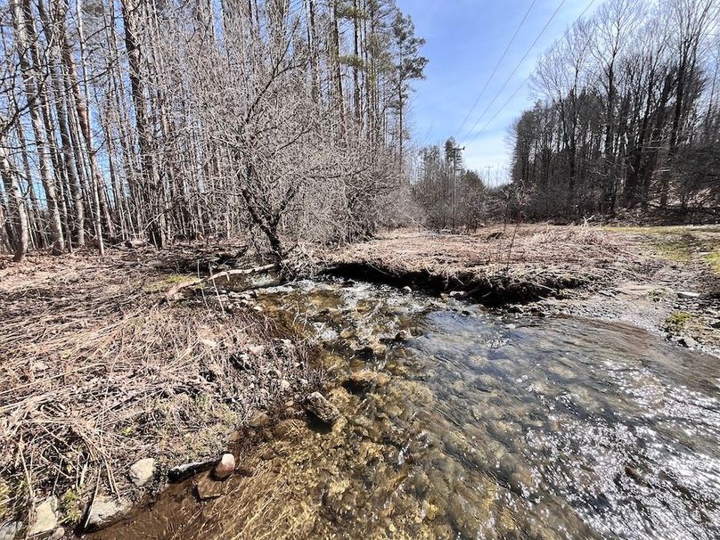 Lewis_26_Somberg Photo 31