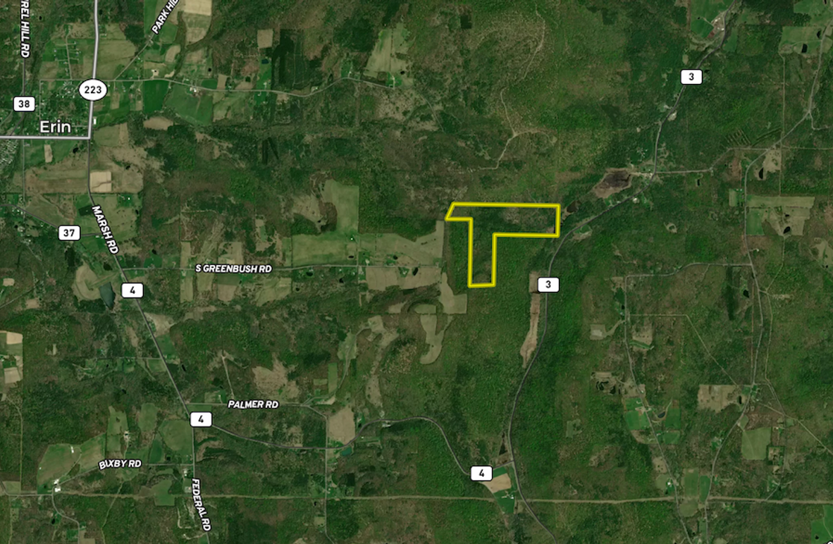 Chemung_78.26_Gutchess_Lumber_Landid_7