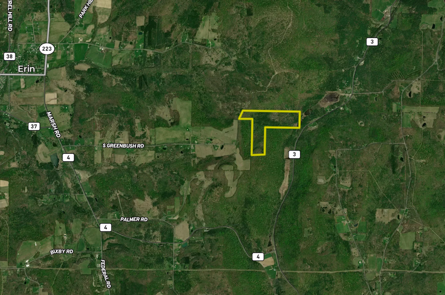Chemung_78.26_Gutchess_Lumber_Landid_7