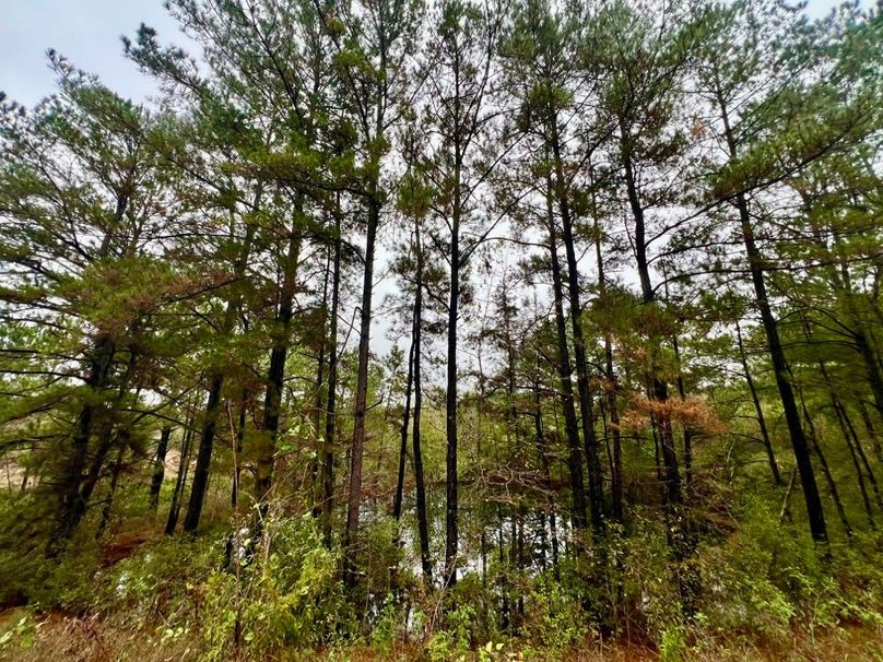 CE9DA403-C3A8-496A-815D-D1D362673B9F_1_201_a