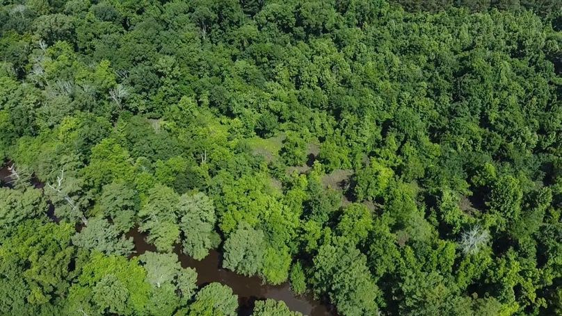 2024-06-01-10-33-37-872