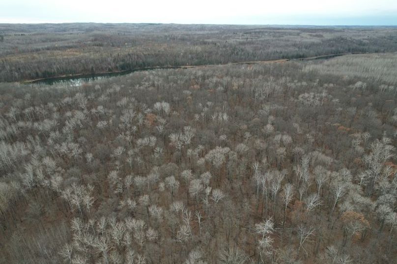 dji_fly_20251104_161012_9_1762294525595_photo