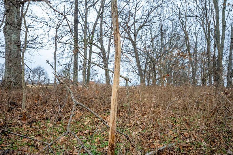 Copy of DSC00729 Large