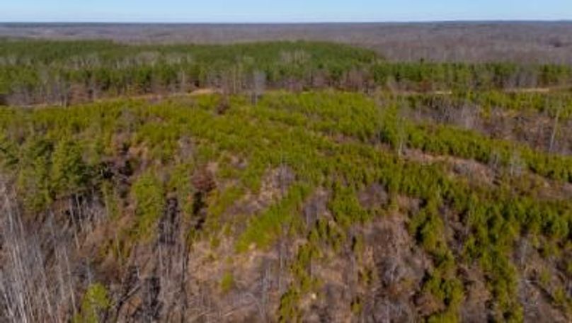 MCKINNON TRACT 19-22