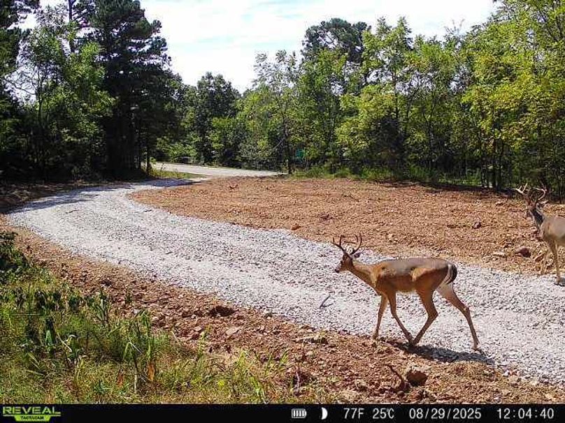 868032067774582-90-4-08292025120440-W1000515