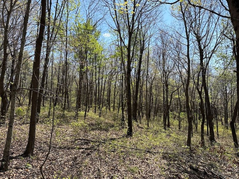 DJI_20260408_135348_246