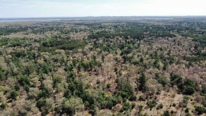 dji_fly_20230511_114346_454_1683838269048_photo_optimized