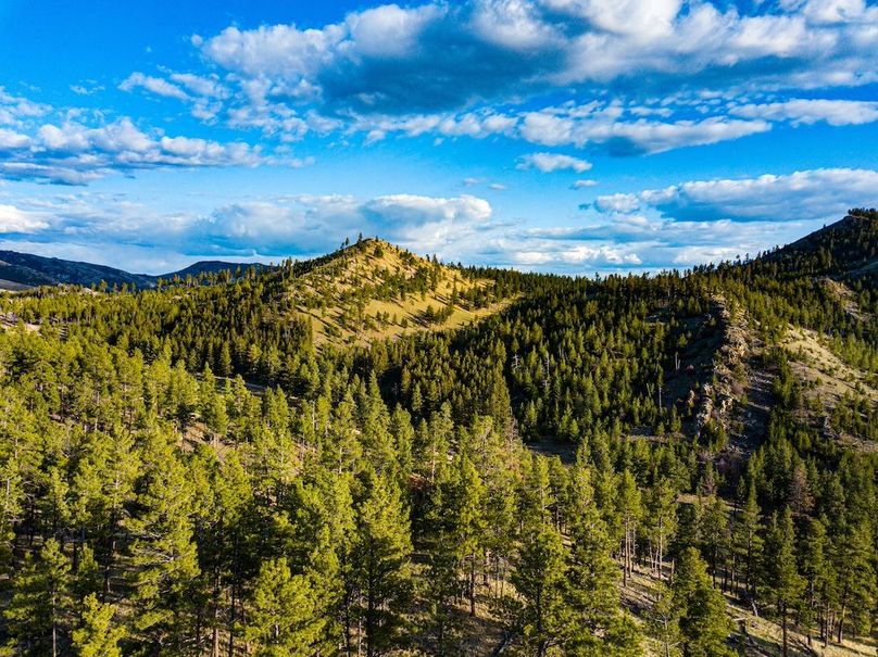 20250430-DJI_0015