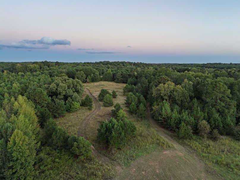 6.1 Edited Harison co. 206 - Ed Robb-063