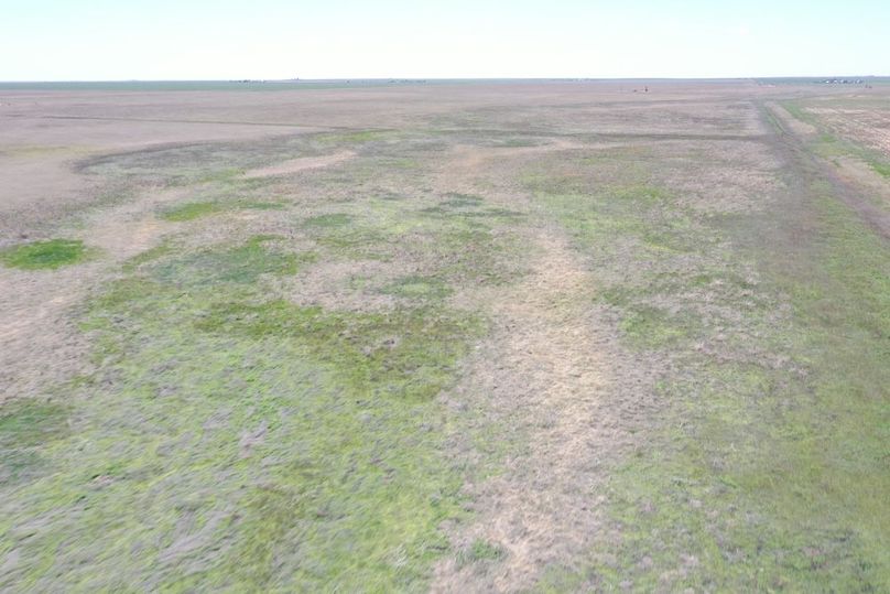 DJI_0674