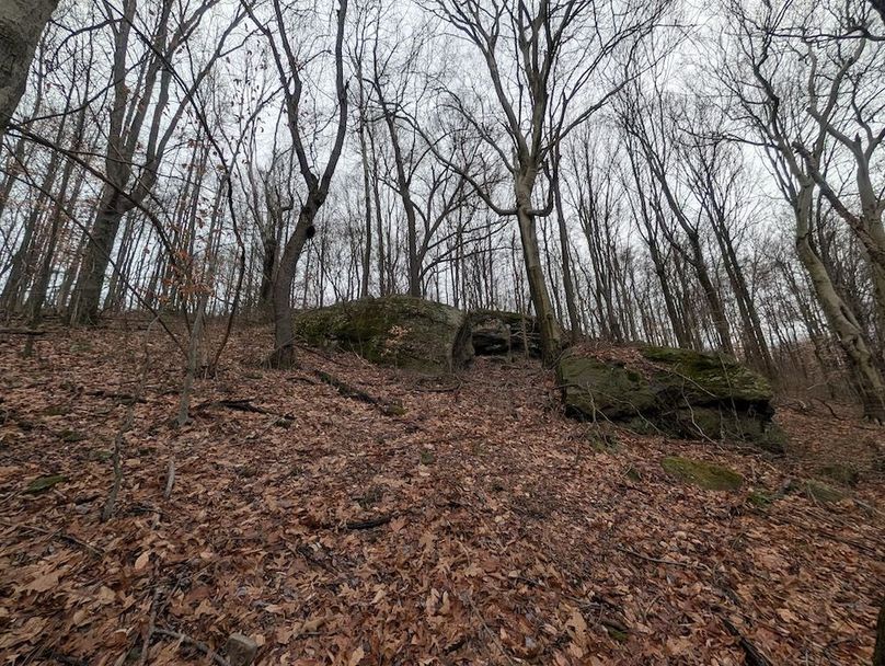 PXL_20260107_170419692