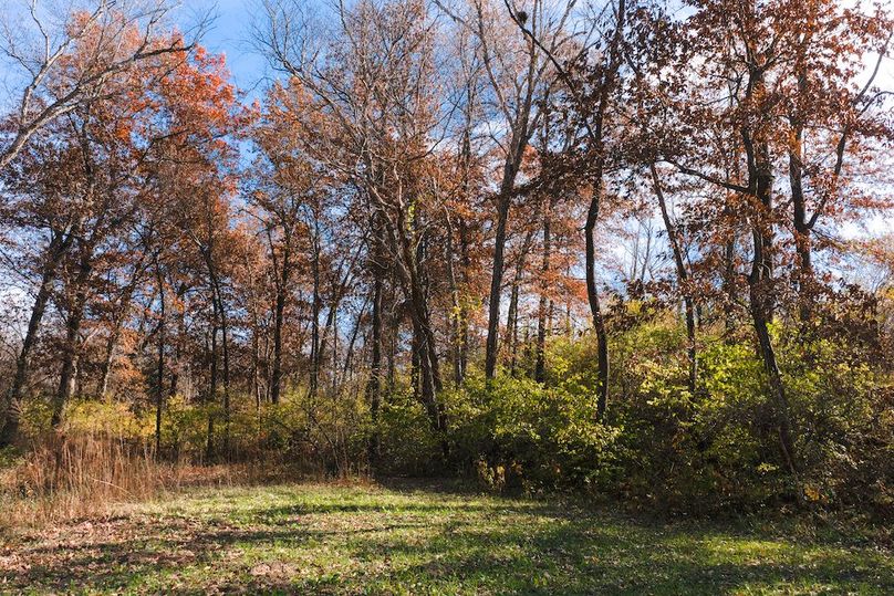 DJI_20251116124115_0160_D