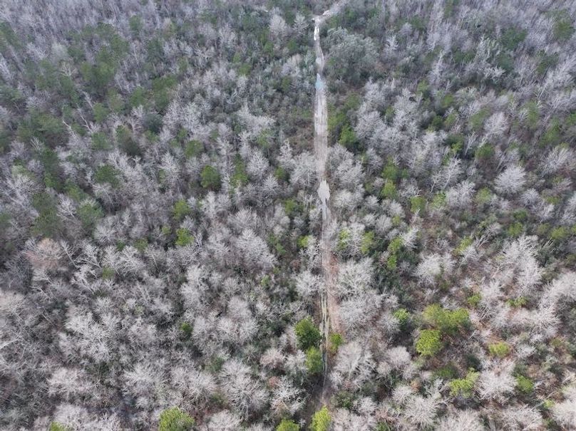 dji_fly_20260212_135646_0034_1771284251878_photo