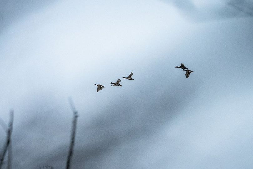 St Clair IL 263.95 Featured_Pro Photo-75