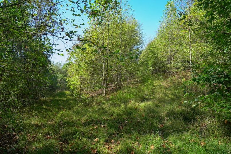 Fayette, 199, Hostetler-36