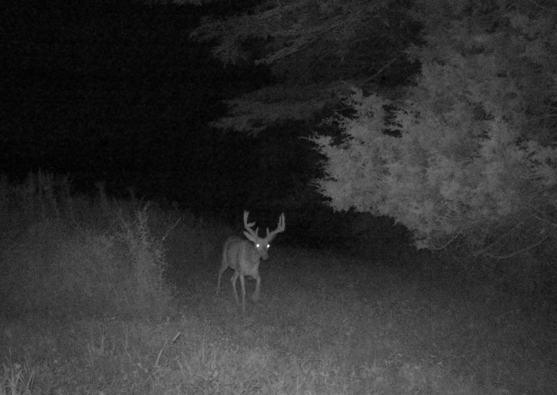 Copy of IMG_3199 Large