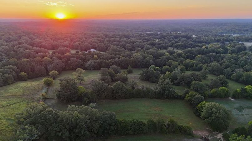 Hinds Co - 30 - Newman-20