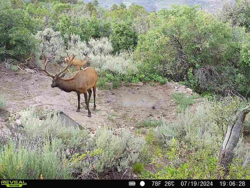 860516060007964-100-2-07192024190628-V-W1002054