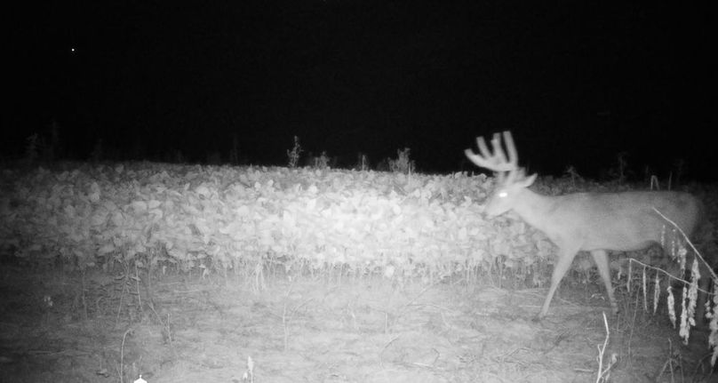 Copy of IMG_3209 Large